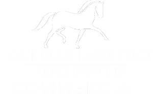 Houlihan Lawrence Wareck D'Ostilio Commercial